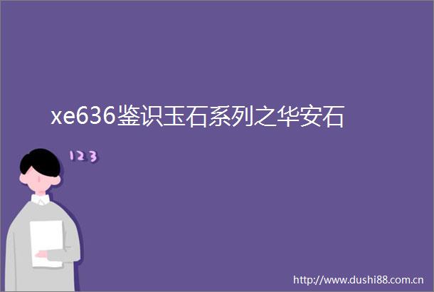 xe636鉴识玉石系列之华安石