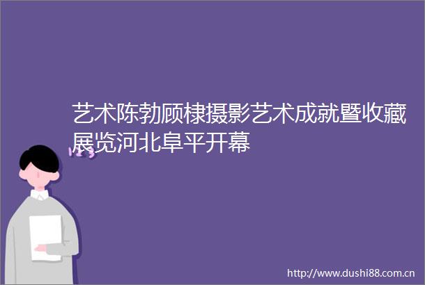 艺术陈勃顾棣摄影艺术成就暨收藏展览河北阜平开幕