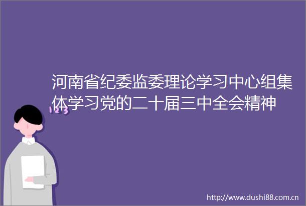 河南省纪委监委理论学习中心组集体学习党的二十届三中全会精神
