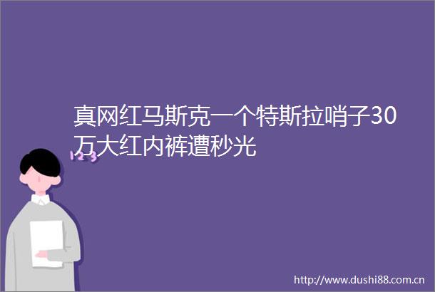 真网红马斯克一个特斯拉哨子30万大红内裤遭秒光