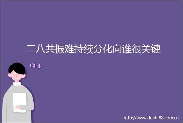 二八共振难持续分化向谁很关键