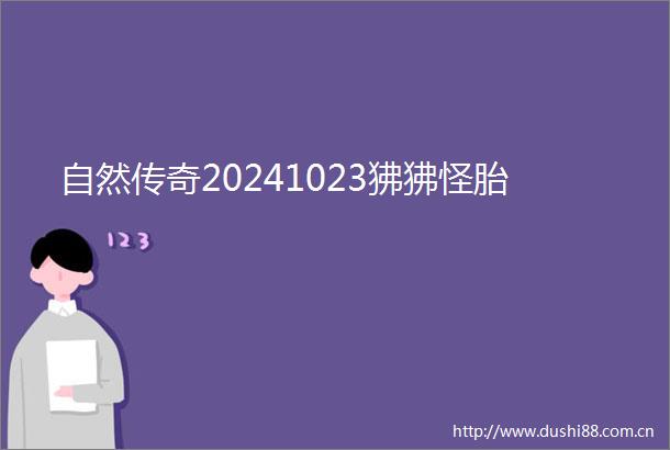 自然传奇20241023狒狒怪胎