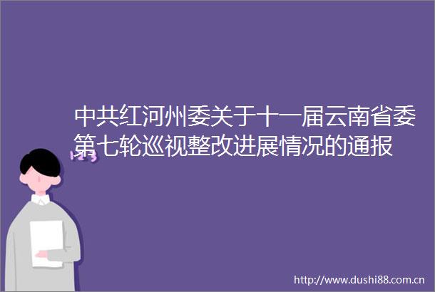 红河州委关于十一届云南省委第七轮巡视整改进展情况的通报