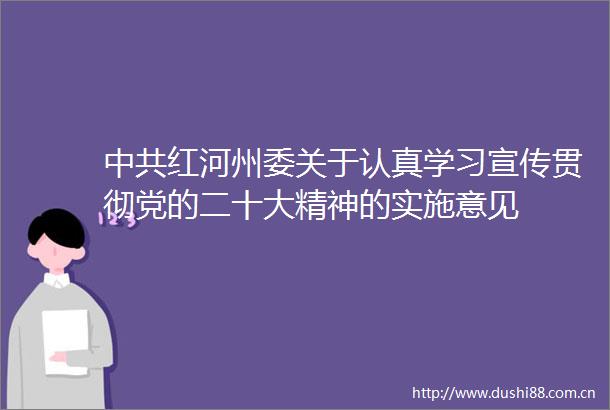 红河州委关于认真学习宣传贯彻党的二十大精神的实施意见