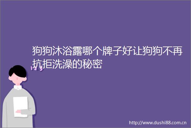 狗狗沐浴露哪个牌子好让狗狗不再抗拒洗澡的秘密