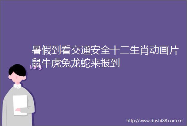 暑假到看交通安全十二生肖动画片鼠牛虎兔龙蛇来报到