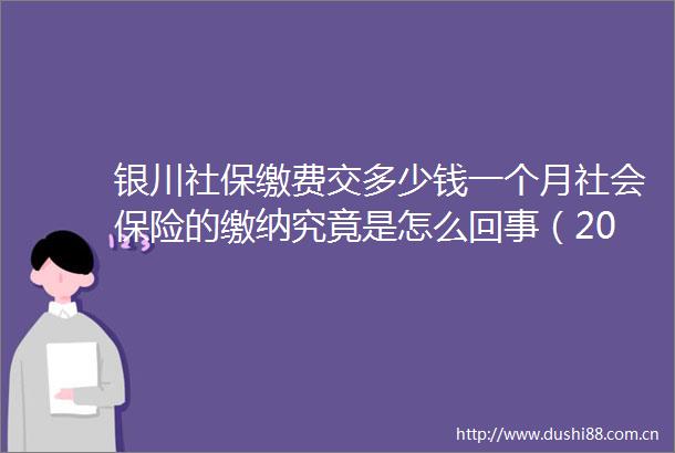 银川社保缴费交多少钱一个月社会保险的缴纳究竟是怎么回事（20250602）