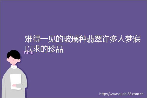 难得一见的玻璃种翡翠许多人梦寐以求的珍品