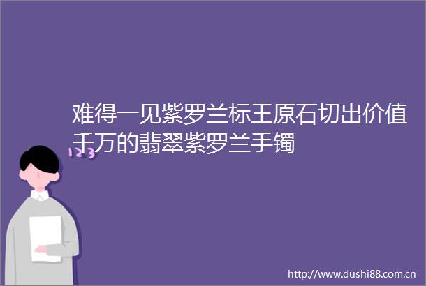 难得一见紫罗兰标王原石切出价值千万的翡翠紫罗兰手镯