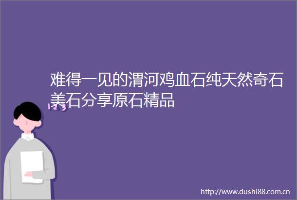 难得一见的渭河鸡血石纯天然奇石美石分享原石精品