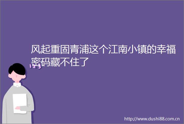 风起重固青浦这个江南小镇的幸福密码藏不住了