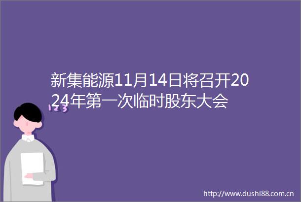 新集能源11月14日将召开2024年第一次临时股东大会