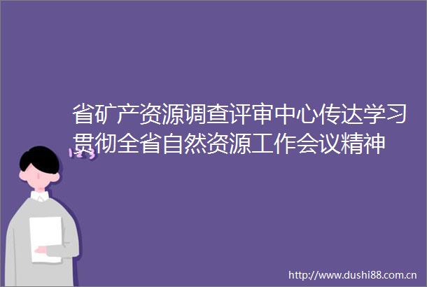 省矿产资源调查评审中心传达学习贯彻全省自然资源工作会议精神
