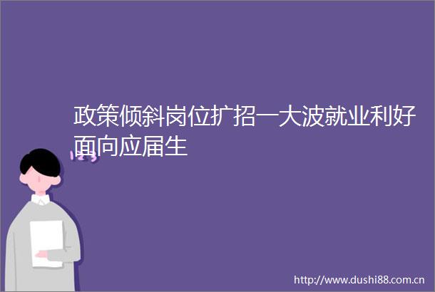 政策倾斜岗位扩招一就业利好面向应届生
