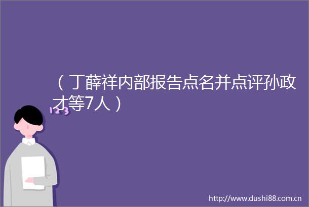 （丁薛祥内部报告点名并点评孙政才等7人）