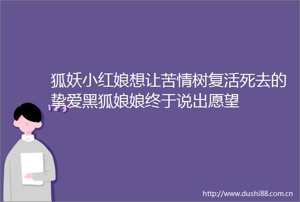 狐妖小红娘想让苦情树复活死去的挚爱黑狐娘娘终于说出愿望
