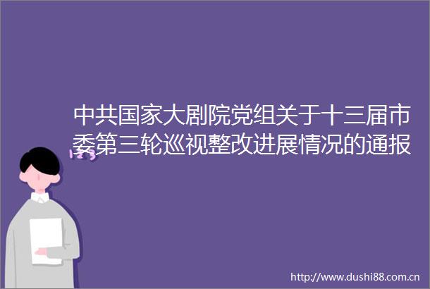大剧院党组关于十三届市委第三轮巡视整改进展情况的通报