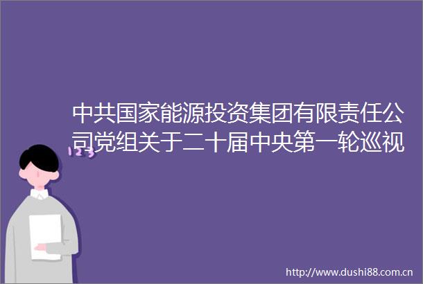 能源投资集团有限责任公司党组关于二十届中央第一轮巡视整改进展情况的通报