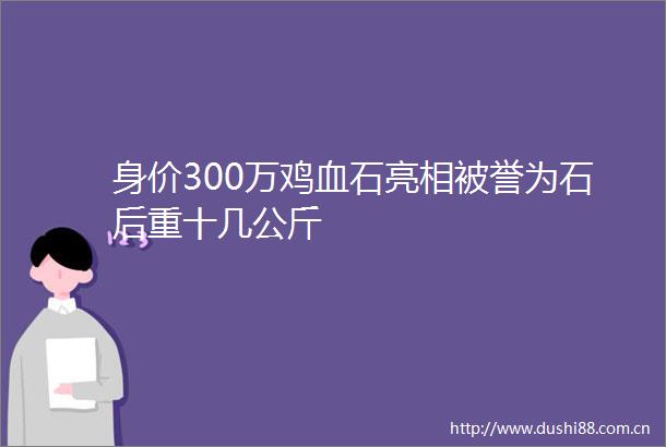 身价300万鸡血石亮相被誉为石后重十几公斤