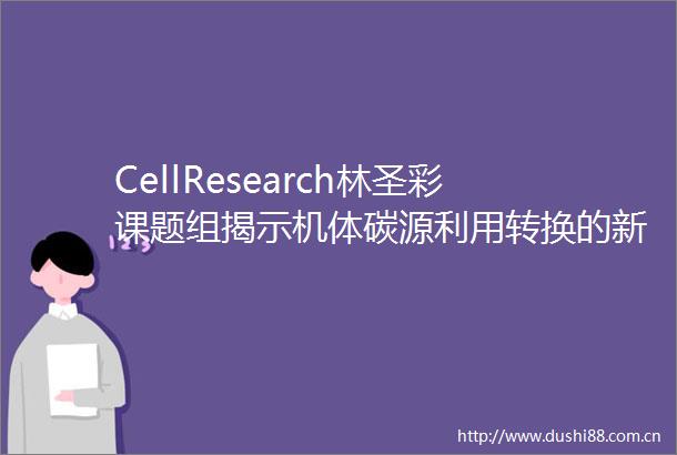 CellResearch林圣彩课题组揭示机体碳源利用转换的新机制