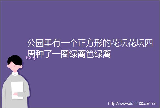 公园里有一个正方形的花坛花坛四周种了一圈绿篱笆绿篱