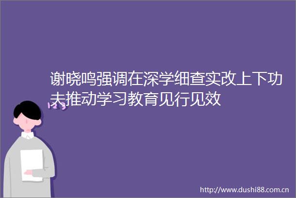 谢晓鸣强调在深学细查实改上下功夫推动学习教育见行见效