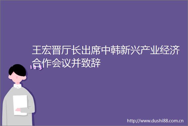 王宏晋厅长出席中韩新兴产业经济合作会议并致辞