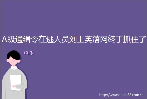 A级通缉令在逃人员刘上英落网终于抓住了