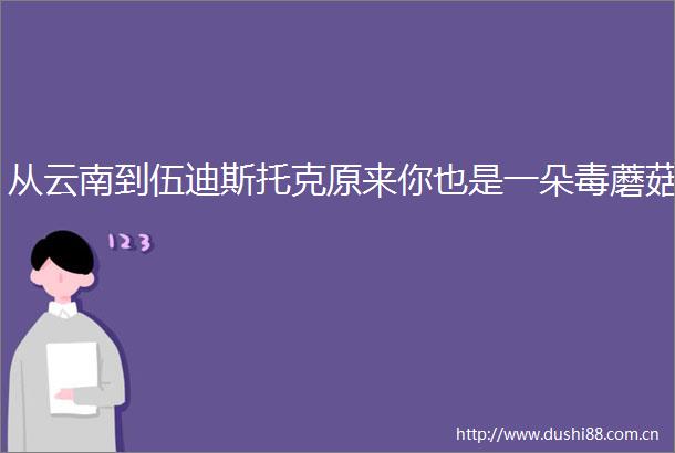 从云南到伍迪斯托克原来你也是一朵毒蘑菇