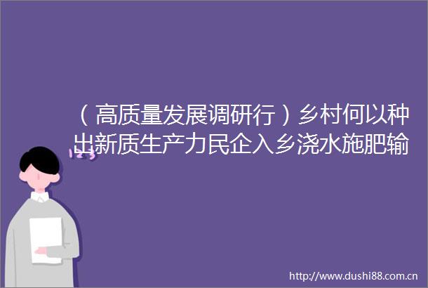 （高质量发展调研行）乡村何以种出新质生产力民企入乡浇水施肥输养分