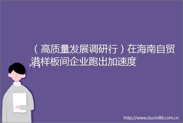 （高质量发展调研行）在海南自贸港样板间企业跑出加速度