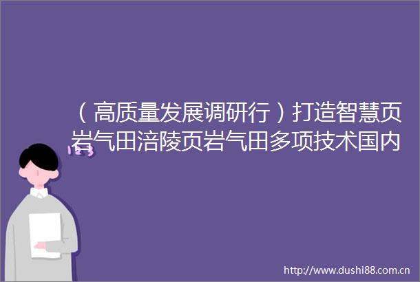 （高质量发展调研行）打造智慧页岩气田涪陵页岩气田多项技术国内领先