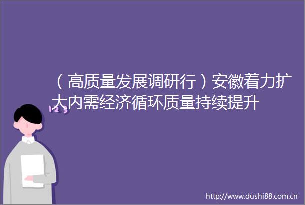 （高质量发展调研行）安徽着力扩大内需经济循环质量持续提升