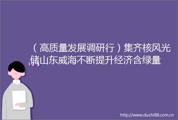 （高质量发展调研行）集齐核风光储山东威海不断提升经济含绿量