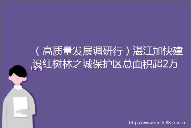 （高质量发展调研行）湛江加快建设红树林之城保护区总面积超2万公顷