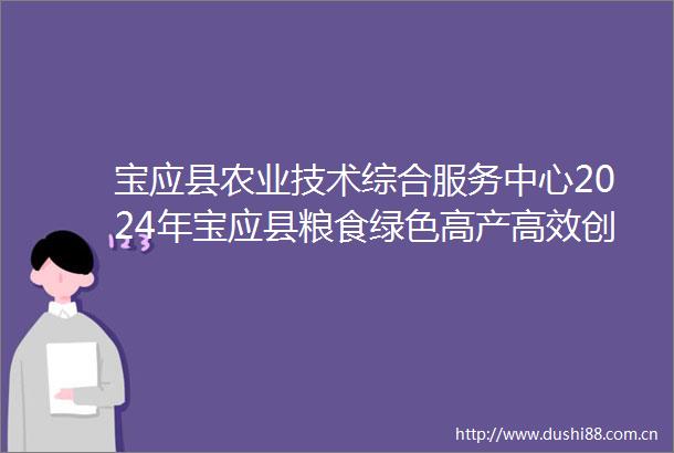 宝应县农业技术综合服务中心2024年宝应县粮食绿色高产高效创建肥料采购项目采购公告二