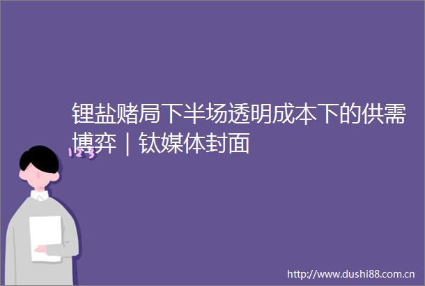 锂盐赌局下半场透明成本下的供需博弈｜钛媒体封面