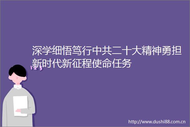 深学细悟笃行二十大精神勇担新时代新征程使命任务
