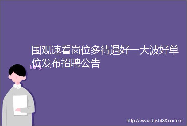 围观速看岗位多待遇好一好单位发布招聘公告
