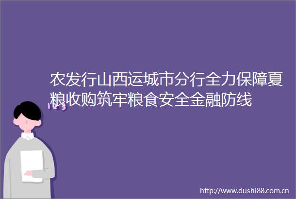 农发行山西运城市分行全力保障夏粮收购筑牢粮食安全金融防线