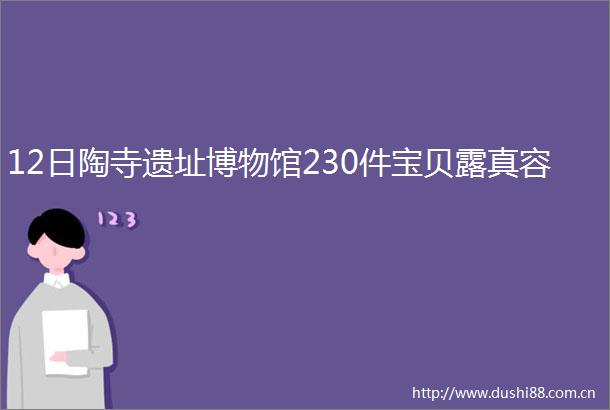 12日陶寺遗址博物馆230件宝贝露真容