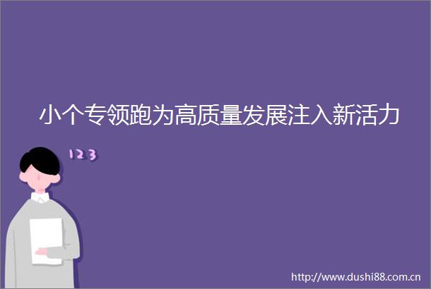 小个专领跑为高质量发展注入新活力