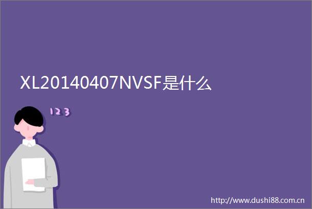 XL20140407NVSF是什么