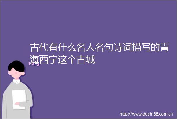 古代有什么名人名句诗词描写的青海西宁这个古城