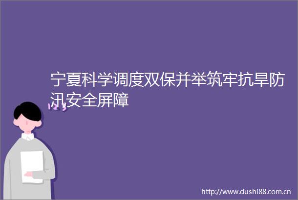 宁夏科学调度双保并举筑牢抗旱防汛安全屏障