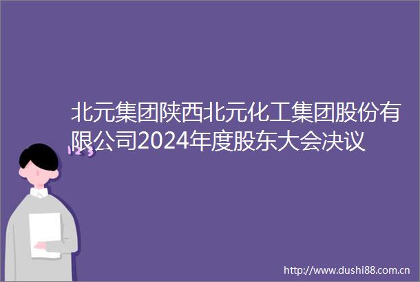 北元集团陕西北元化工集团股份有限公司2024年度股东大会决议公告内容摘要