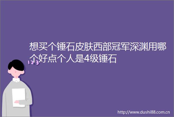 想买个锤石皮肤西部冠军深渊用哪个好点个人是4级锤石