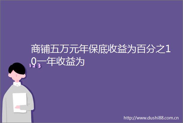 商铺五万元年保底收益为百分之10一年收益为