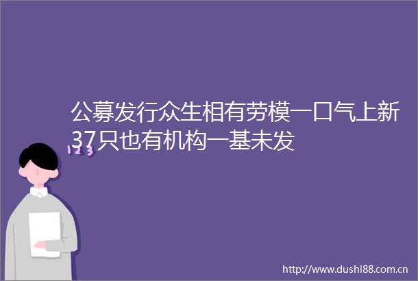 公募发行众生相有劳模一口气上新37只也有机构一基未发