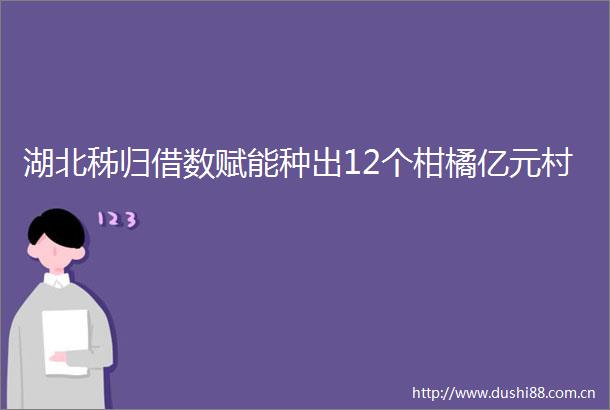 湖北秭归借数赋能种出12个柑橘亿元村